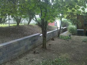 A tree is in the middle of a garden.